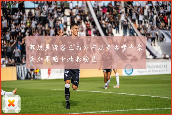 解说员阵容正式公布众多名嘴齐聚美加墨盛会精彩纷呈