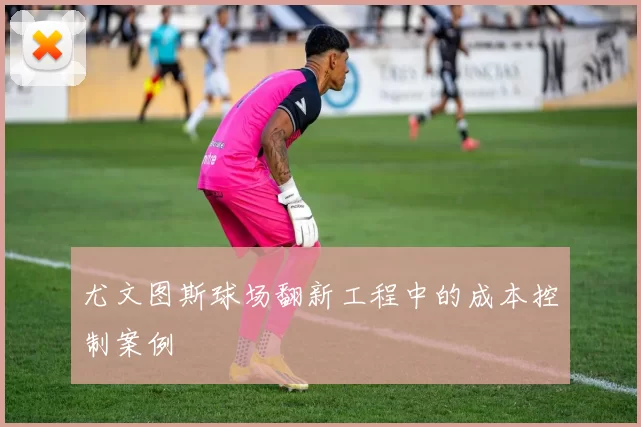 尤文图斯球场翻新工程中的成本控制案例